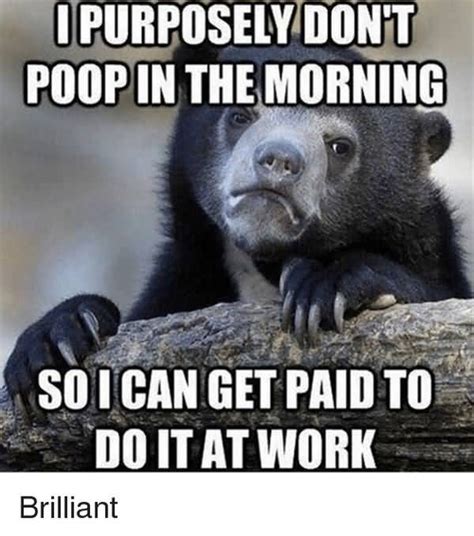 poop funny pictures|stinky poop memes.